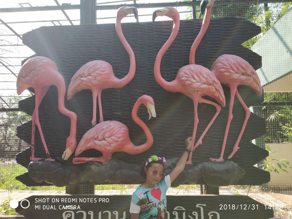 Photo of Follow me to... Thailand #thailandinpictures by Antara Ganguli