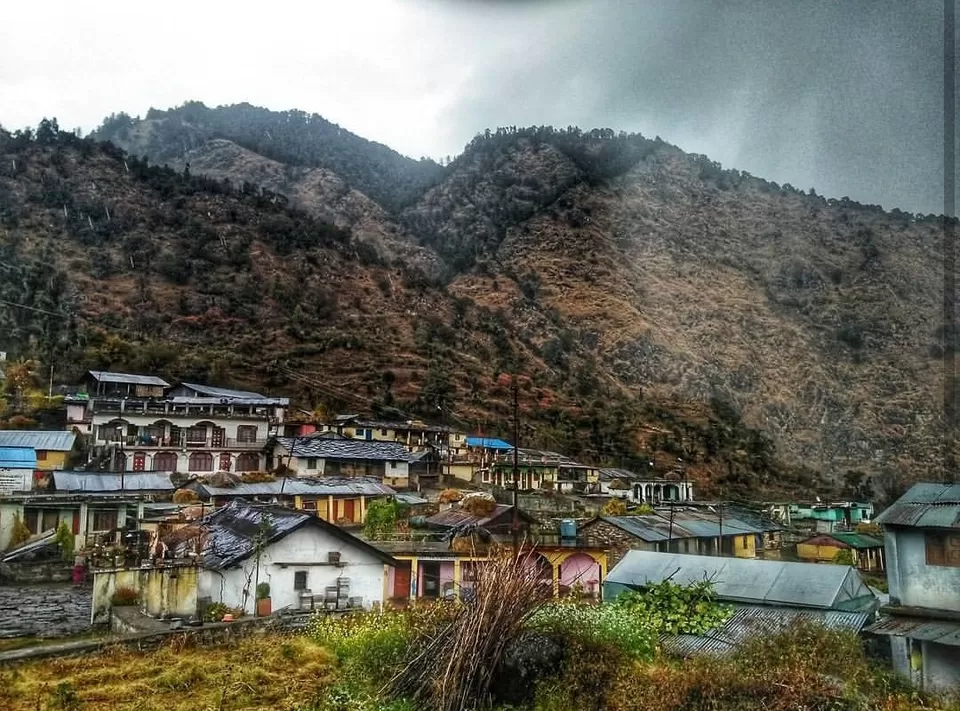 Photo of Dayara Bugyal, Taknaur Renge, Uttarakhand, India by Just A Pack Of TWO