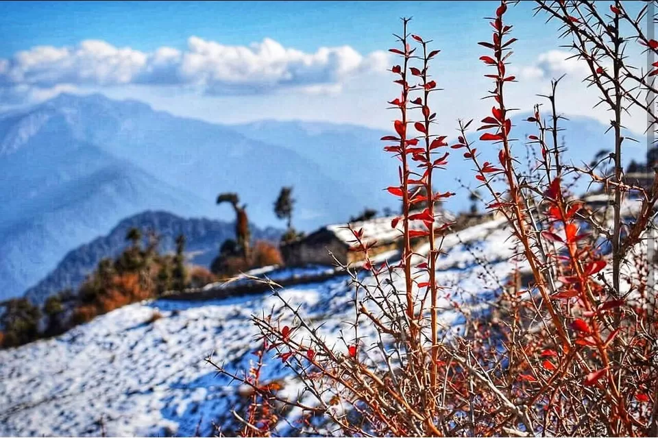 Photo of Dayara Bugyal, Taknaur Renge, Uttarakhand, India by Just A Pack Of TWO