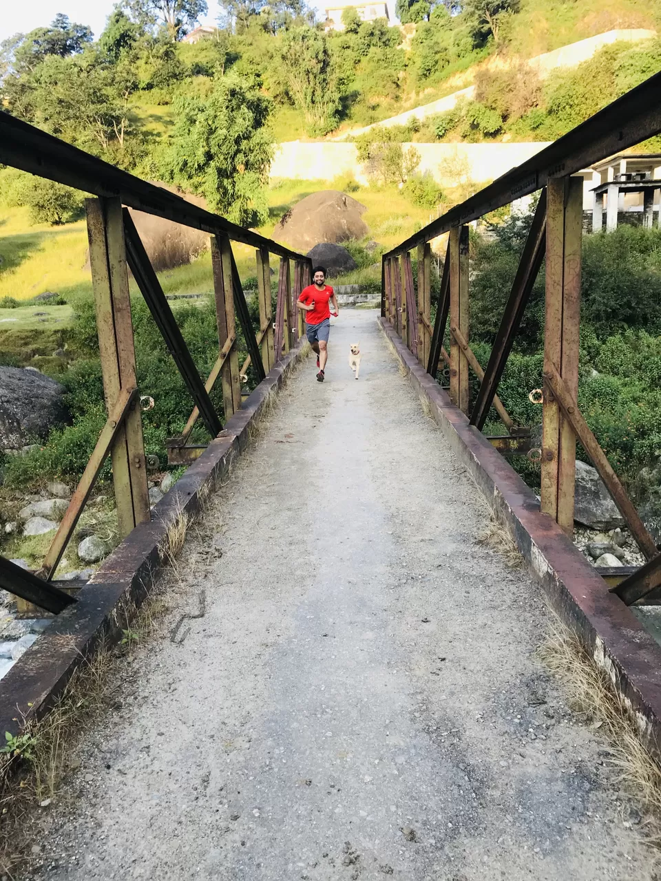 Photo of Palampur: The beauty unseen, the road less travelled by Sahila Kalia