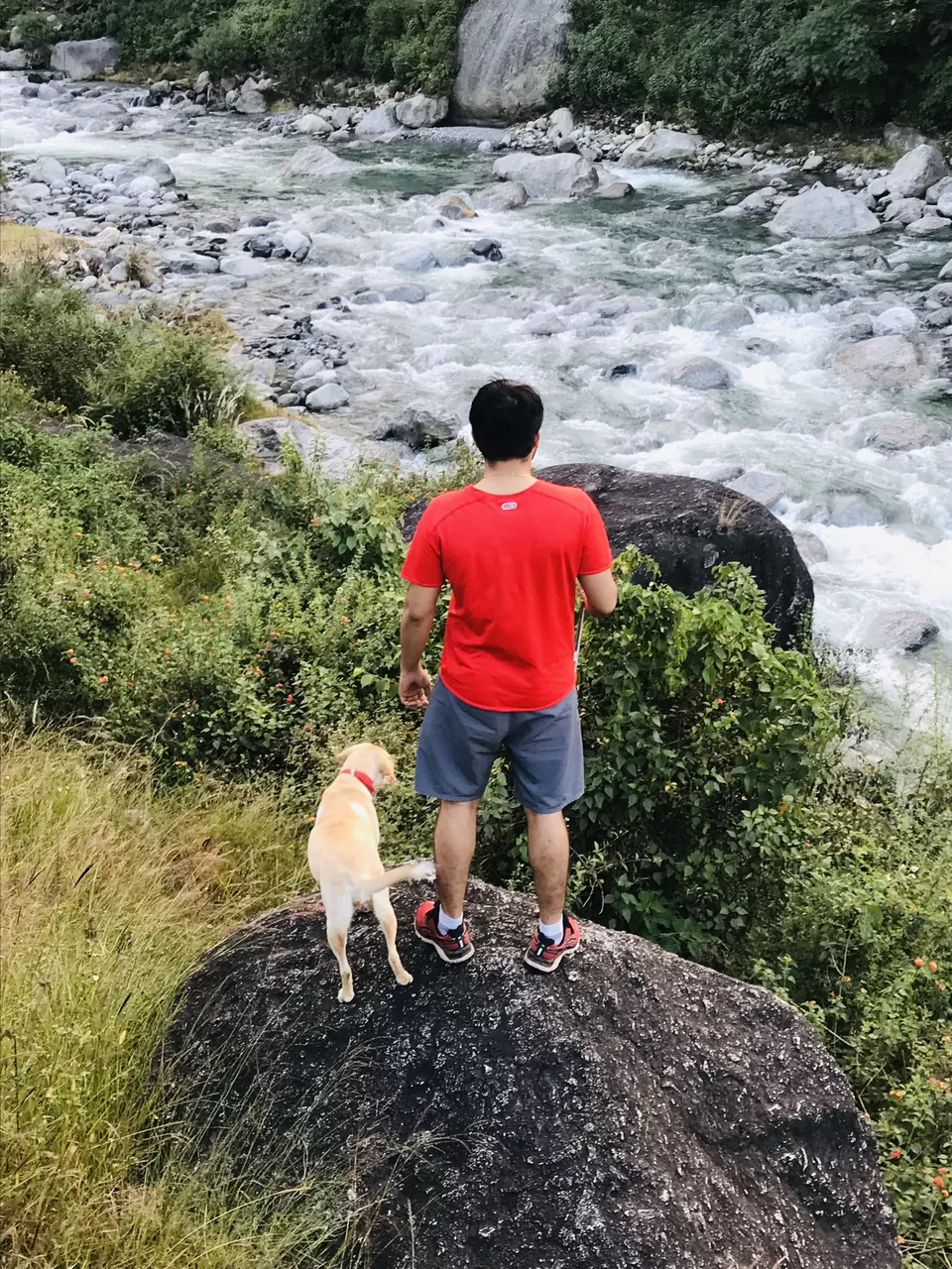 Photo of Palampur: The beauty unseen, the road less travelled by Sahila Kalia