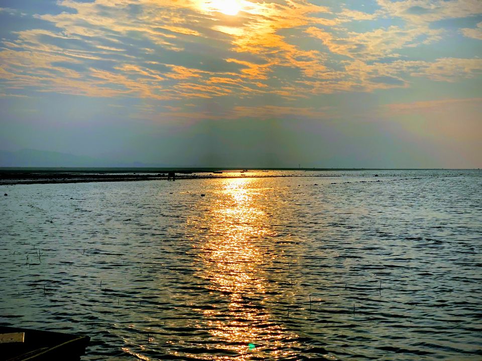 Photo of Pong Dam, Himachal Pradesh, India by Sahila Kalia