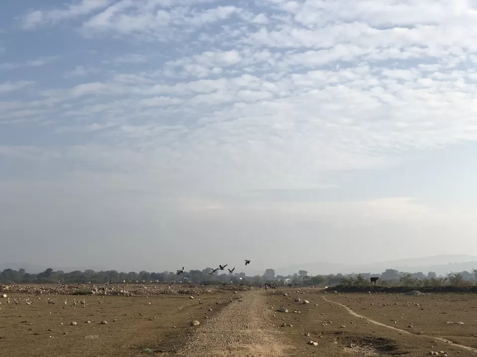 Photo of Pong Dam Park, Kangra, Himachal Pradesh, India by Sahila Kalia