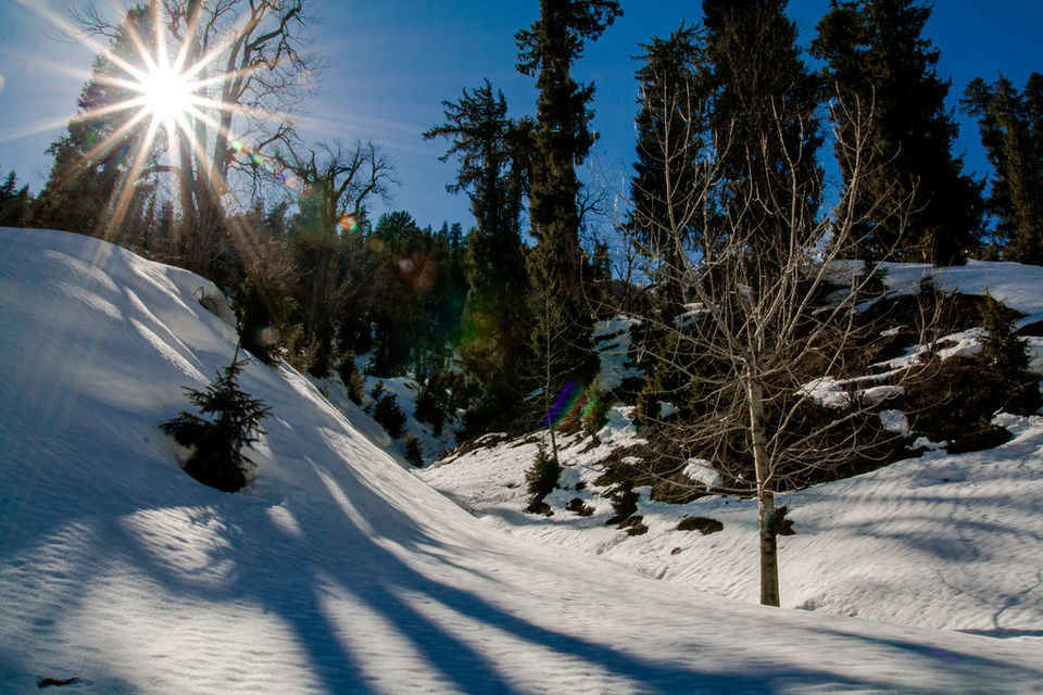 Photo of 8 Under-Rated Places In India To Witness A Magical Snowfall This Winter! by Palak Doshi