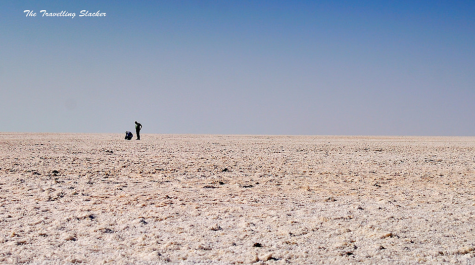 Photo of Dhordo, Gujarat, India by Disha Kapkoti