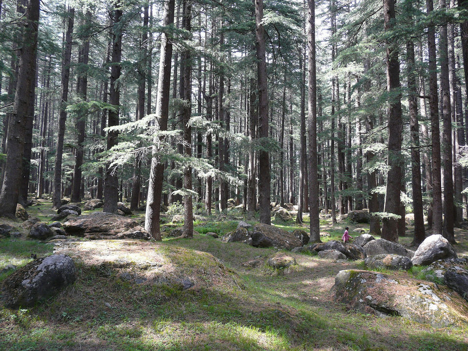 Photo of Manali, Himachal Pradesh, India by Samarth Arora