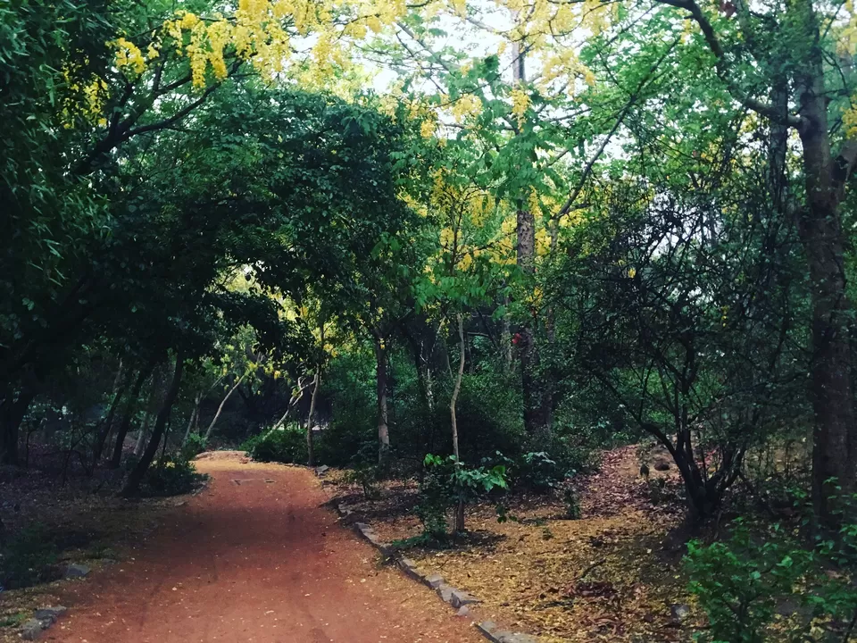 Photo of Sanjay Van, New Delhi, Delhi by Samarth Arora