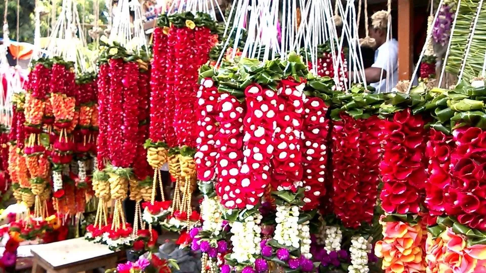 Photo of Ghazipur, New Delhi, Delhi, India by Samarth Arora