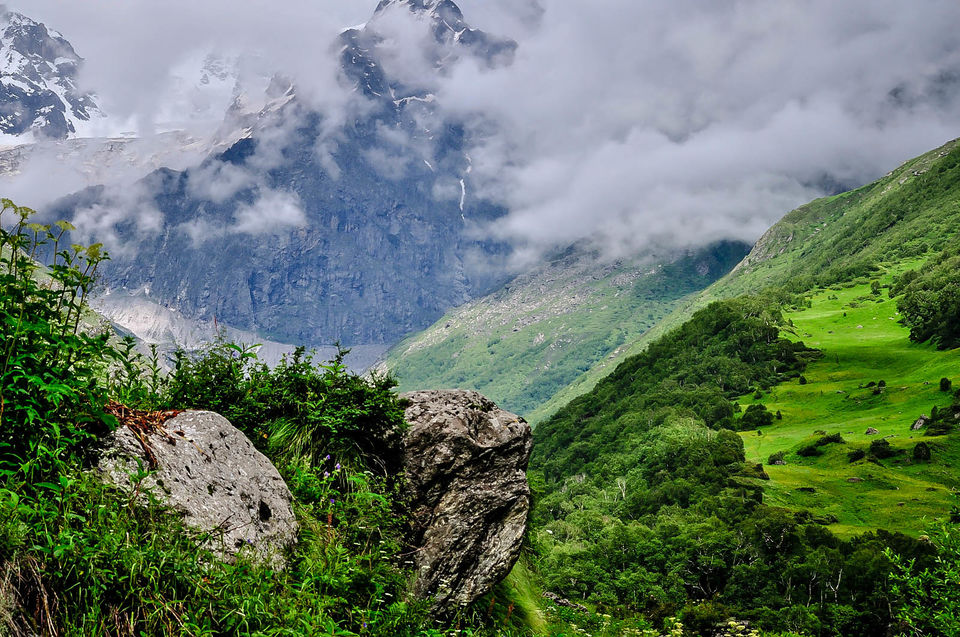 Photo of You Might Have to Pay "Green Tax" Now When You Travel to Uttarakhand by Samarth Arora