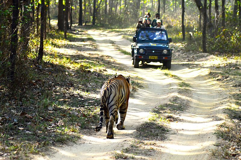 Photo of 3 Indian Destination Packages For 2019 To Travel Lavishly On A Shoestring Budget! by Samarth Arora