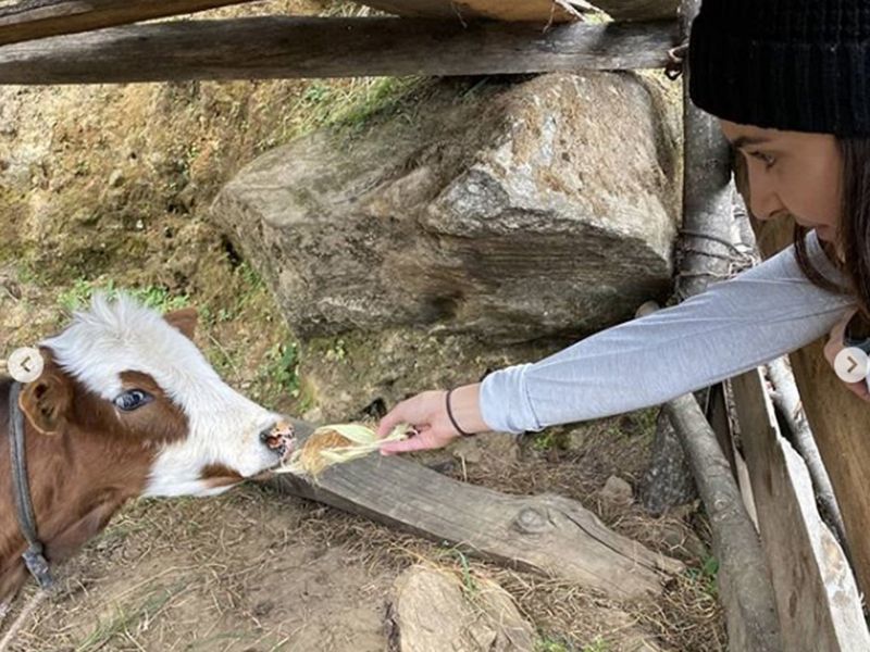 Photo of Virat-Anushka’s Hilly Story Truly Defines What ‘Forever Memories’ Look Like! by Samarth Arora
