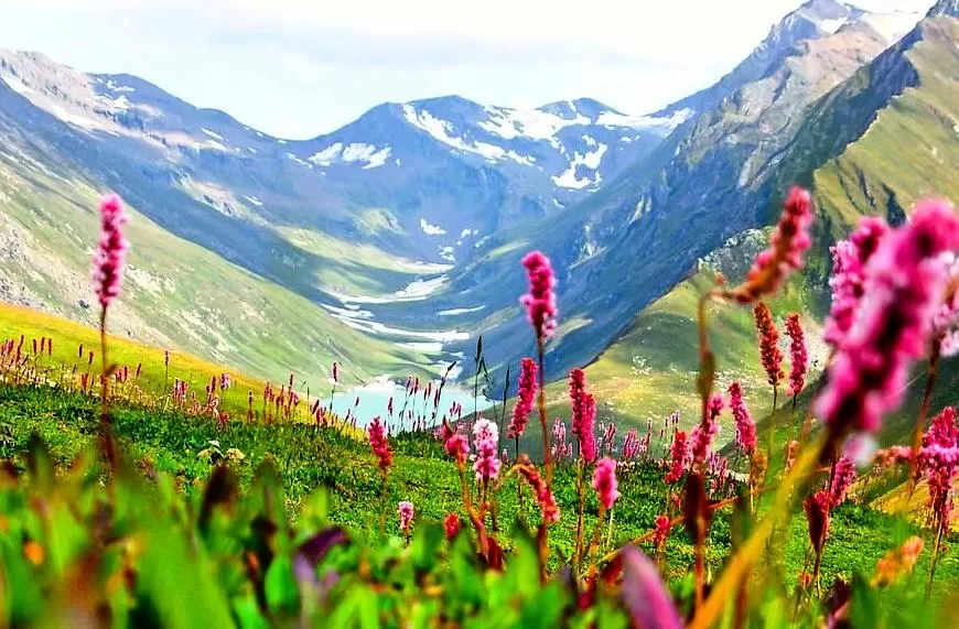 Photo of Valley of Flowers National Park, Uttarakhand, India by Samarth Arora
