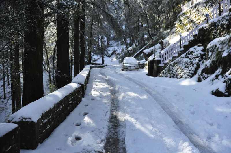 Photo of This Boutique Stay in Hathipaon Offers Luxury in the Lap of Nature at just Rs 3,000 Per Night! by Samarth Arora