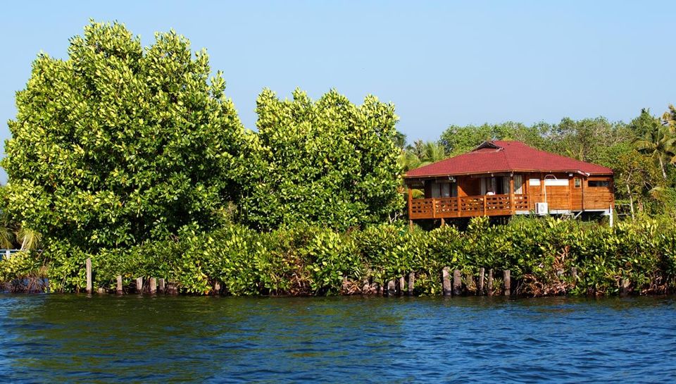 Photo of Vini's Farm, Peninsular Road, Munroe Island, Kerala, India by Samarth Arora
