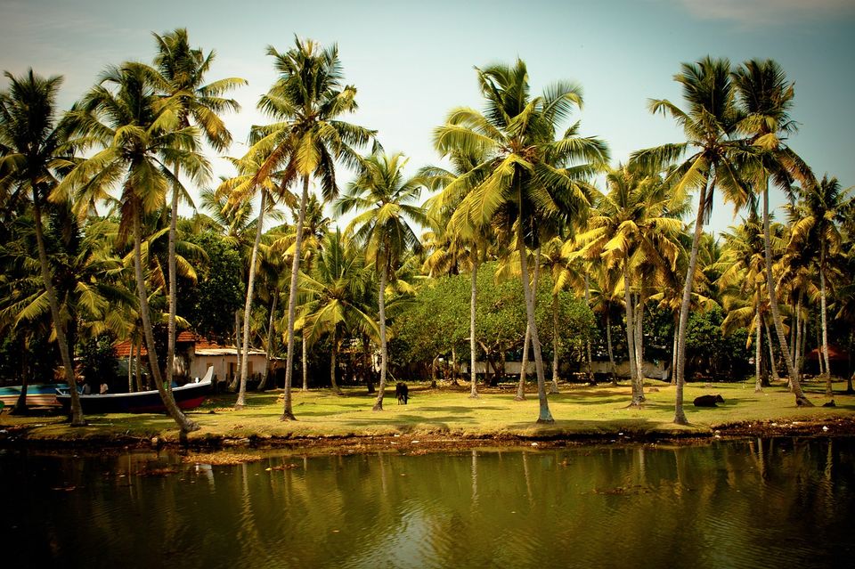 Photo of The Perfect Gift for 2020: IRCTC Introduces New Year Packages to South India, Goa and Andamans! 2/3 by Samarth Arora