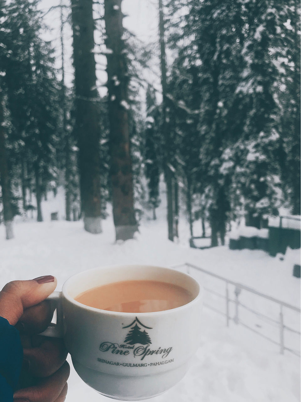 Photo of Kashmir: An Experience of a Lifetime by Harpreet Kaur