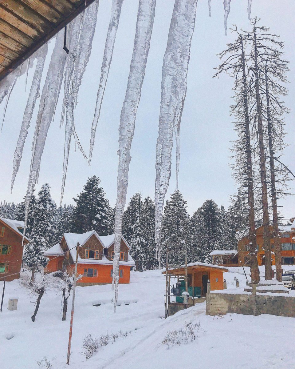 Photo of Kashmir: An Experience of a Lifetime by Harpreet Kaur