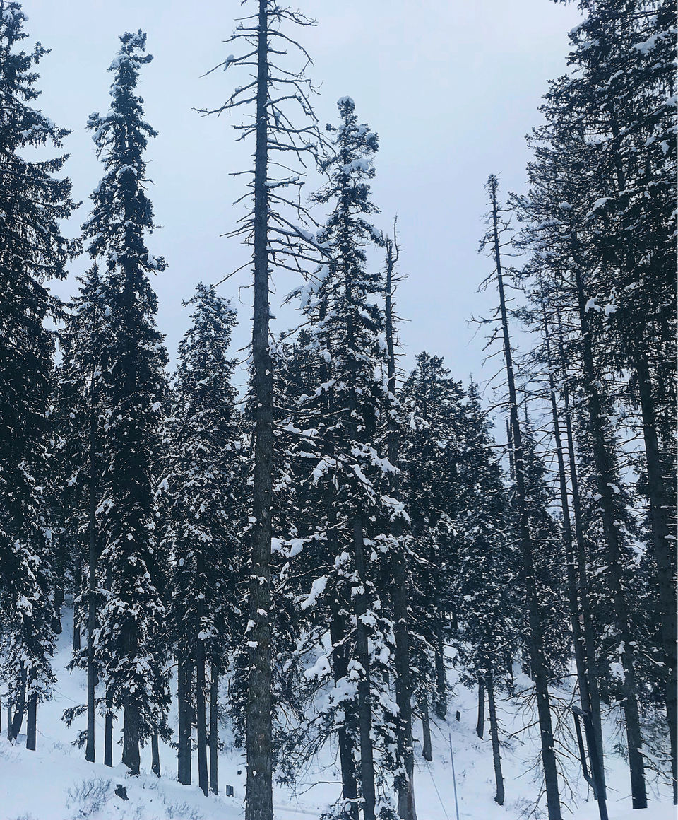 Photo of Kashmir: An Experience of a Lifetime by Harpreet Kaur