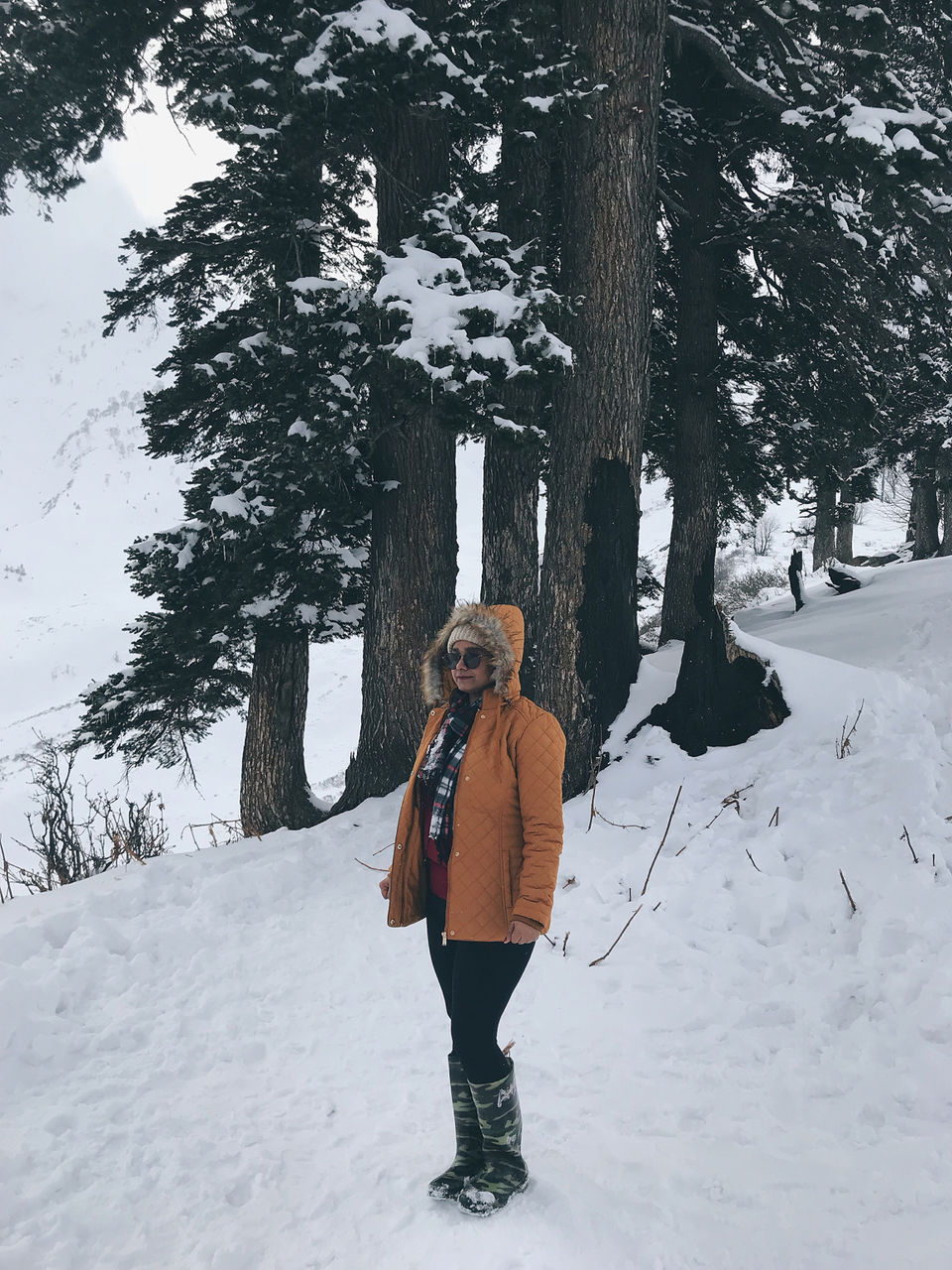 Photo of Kashmir: An Experience of a Lifetime by Harpreet Kaur