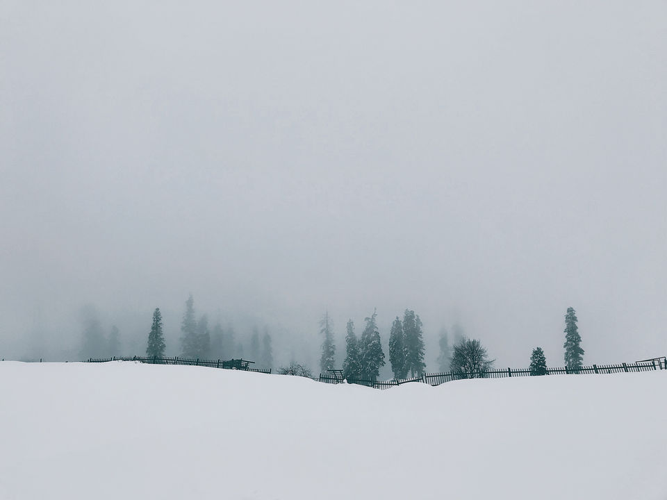 Photo of Kashmir: An Experience of a Lifetime by Harpreet Kaur