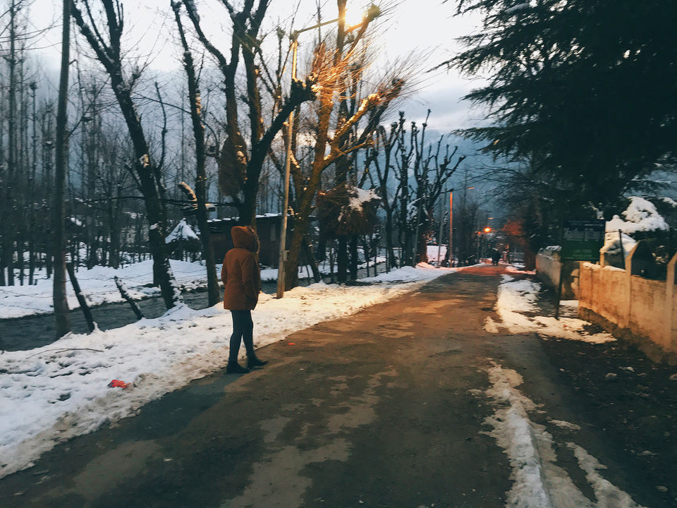 Photo of Kashmir: An Experience of a Lifetime by Harpreet Kaur
