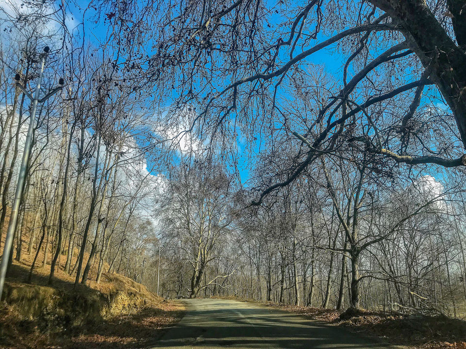 Photo of Kashmir: An Experience of a Lifetime by Harpreet Kaur