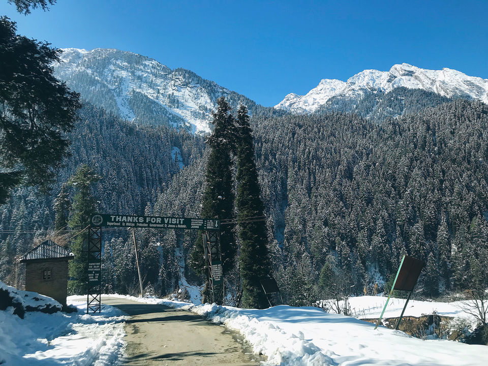 Photo of Kashmir: An Experience of a Lifetime by Harpreet Kaur