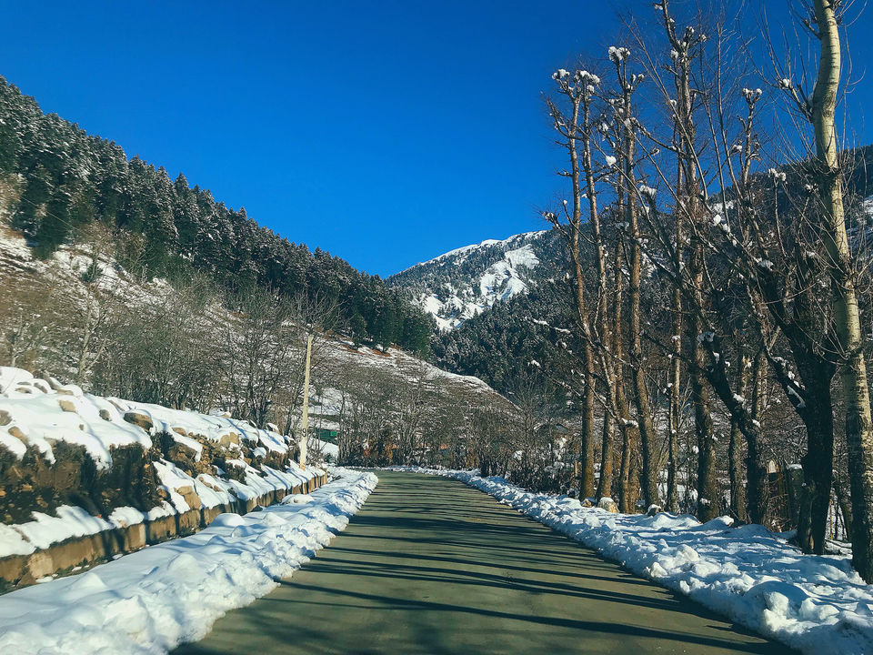 Photo of Kashmir: An Experience of a Lifetime by Harpreet Kaur