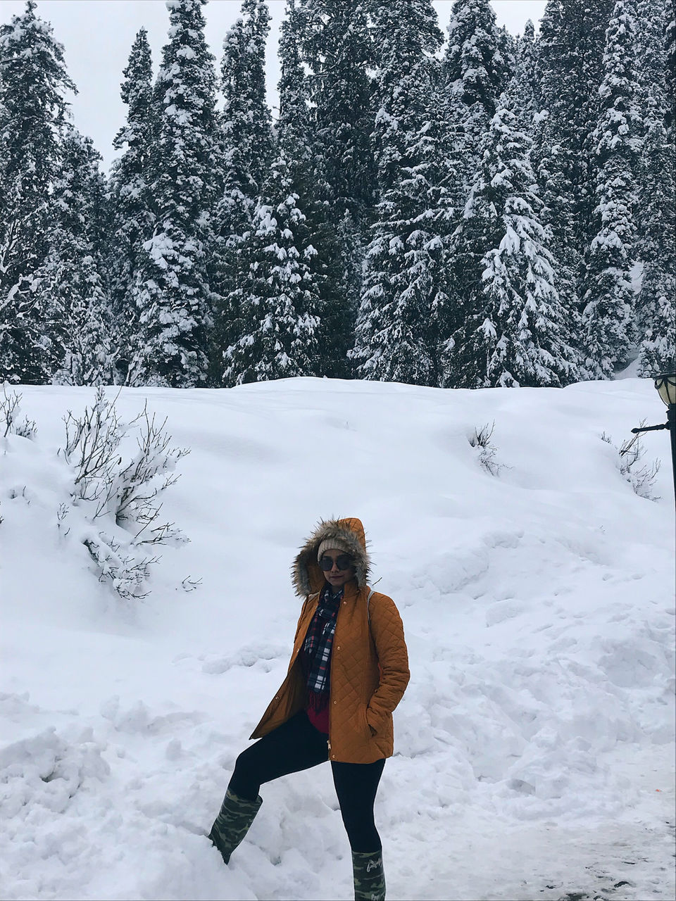Photo of Kashmir: An Experience of a Lifetime by Harpreet Kaur