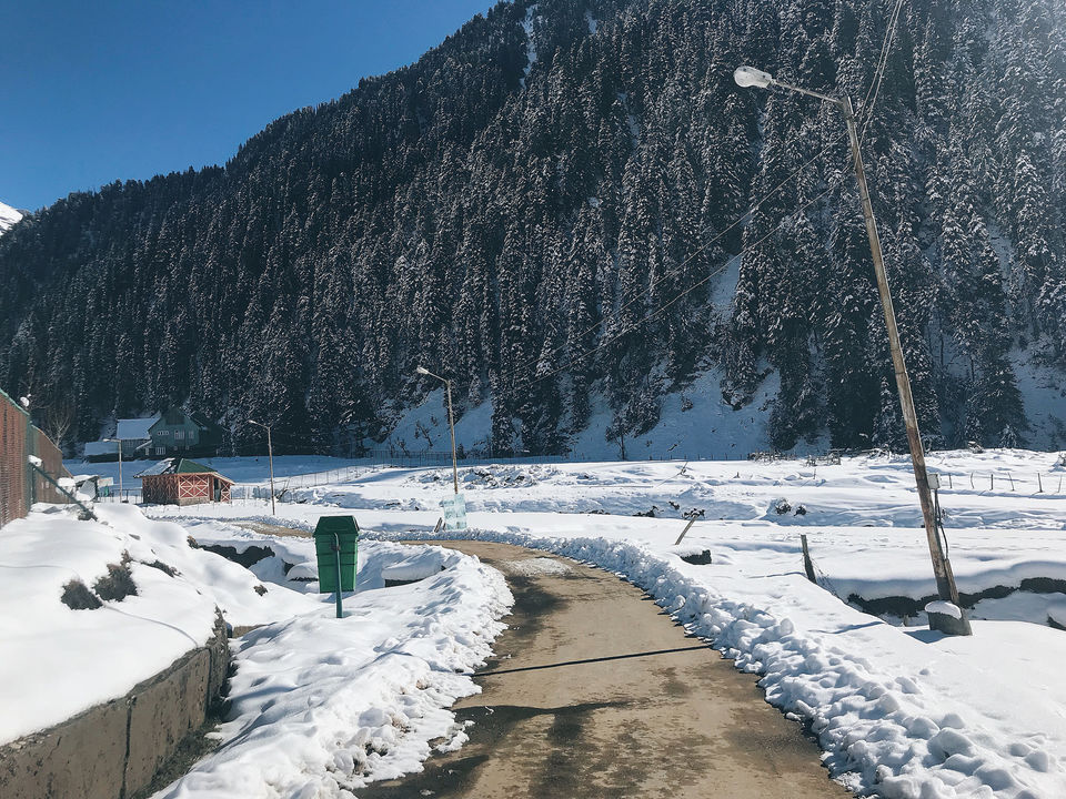 Photo of Kashmir: An Experience of a Lifetime by Harpreet Kaur
