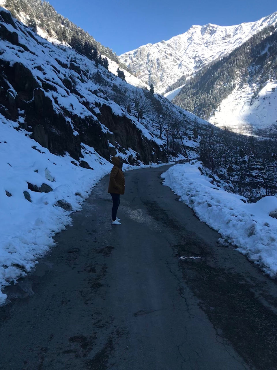 Photo of Kashmir: An Experience of a Lifetime by Harpreet Kaur