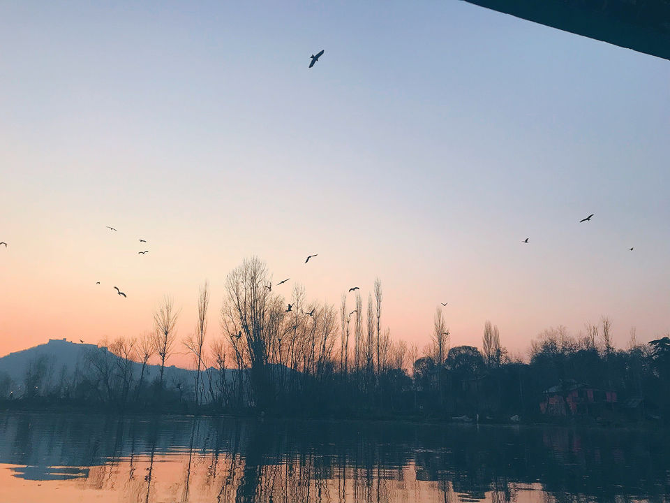 Photo of Kashmir: An Experience of a Lifetime by Harpreet Kaur