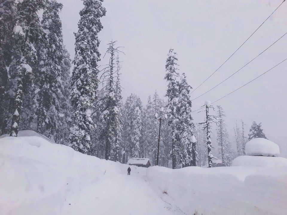 Photo of Kashmir: An Experience of a Lifetime by Harpreet Kaur