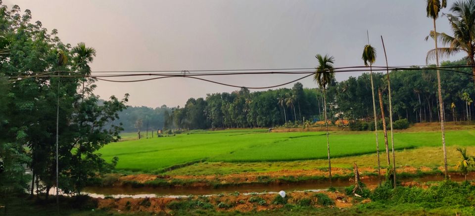 Photo of Thodupuzha, Kerala, India by Pradeepa Muthukumar