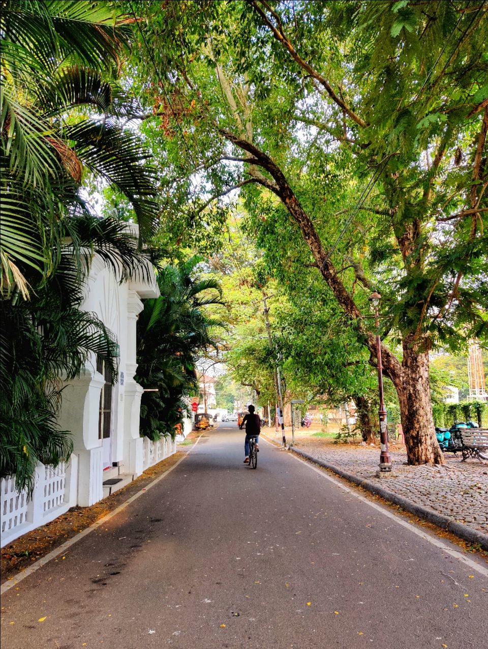 Photo of How I crashed a wedding and took my first trip in 2020! #TheFirstOne by Pradeepa Muthukumar