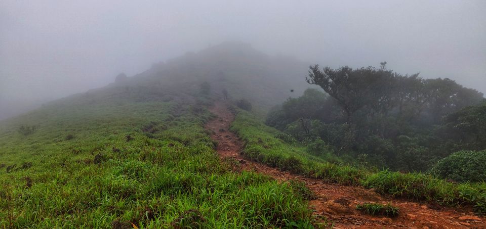 Photo of TADIANDAMOL TREK - How i lost myself in Monsoon!! by Sirajudeen