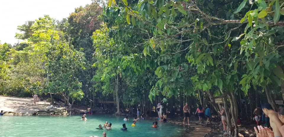 Photo of Emerald Pool, Khlong Thom Nuea, Khlong Thom District, Krabi, Thailand by Mischievous Dreamer