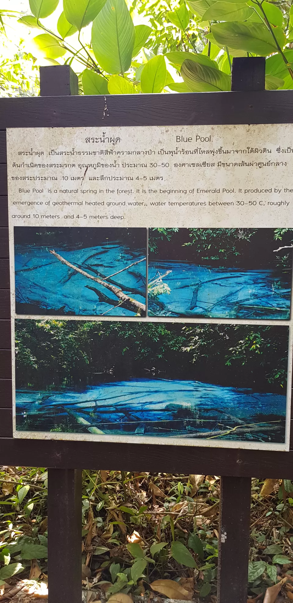 Photo of Emerald Pool, Khlong Thom Nuea, Khlong Thom District, Krabi, Thailand by Mischievous Dreamer