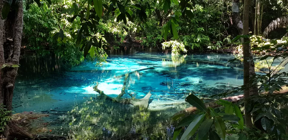 Photo of Emerald Pool, Khlong Thom Nuea, Khlong Thom District, Krabi, Thailand by Mischievous Dreamer