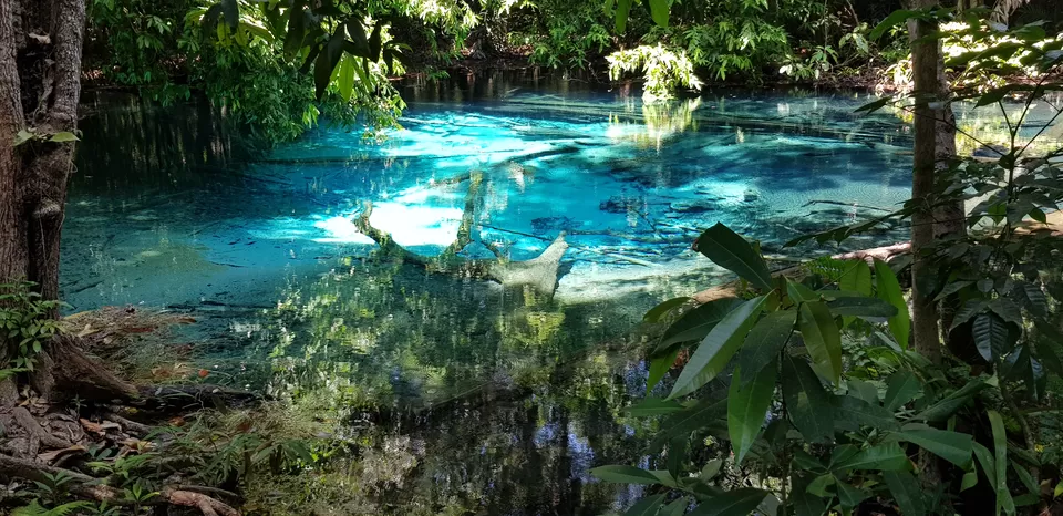 Photo of Emerald Pool, Khlong Thom Nuea, Khlong Thom District, Krabi, Thailand by Mischievous Dreamer