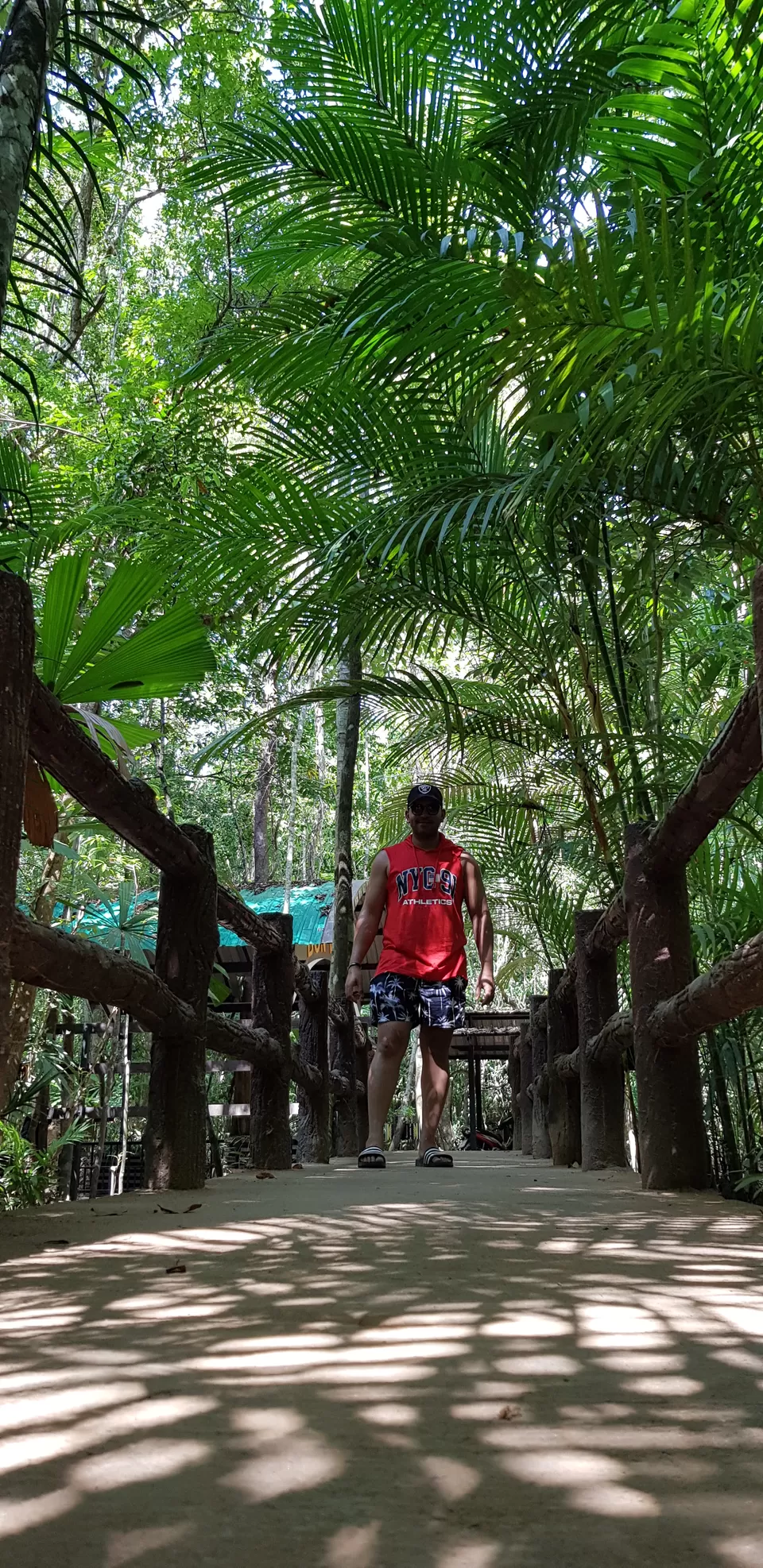 Photo of Emerald Pool, Khlong Thom Nuea, Khlong Thom District, Krabi, Thailand by Mischievous Dreamer