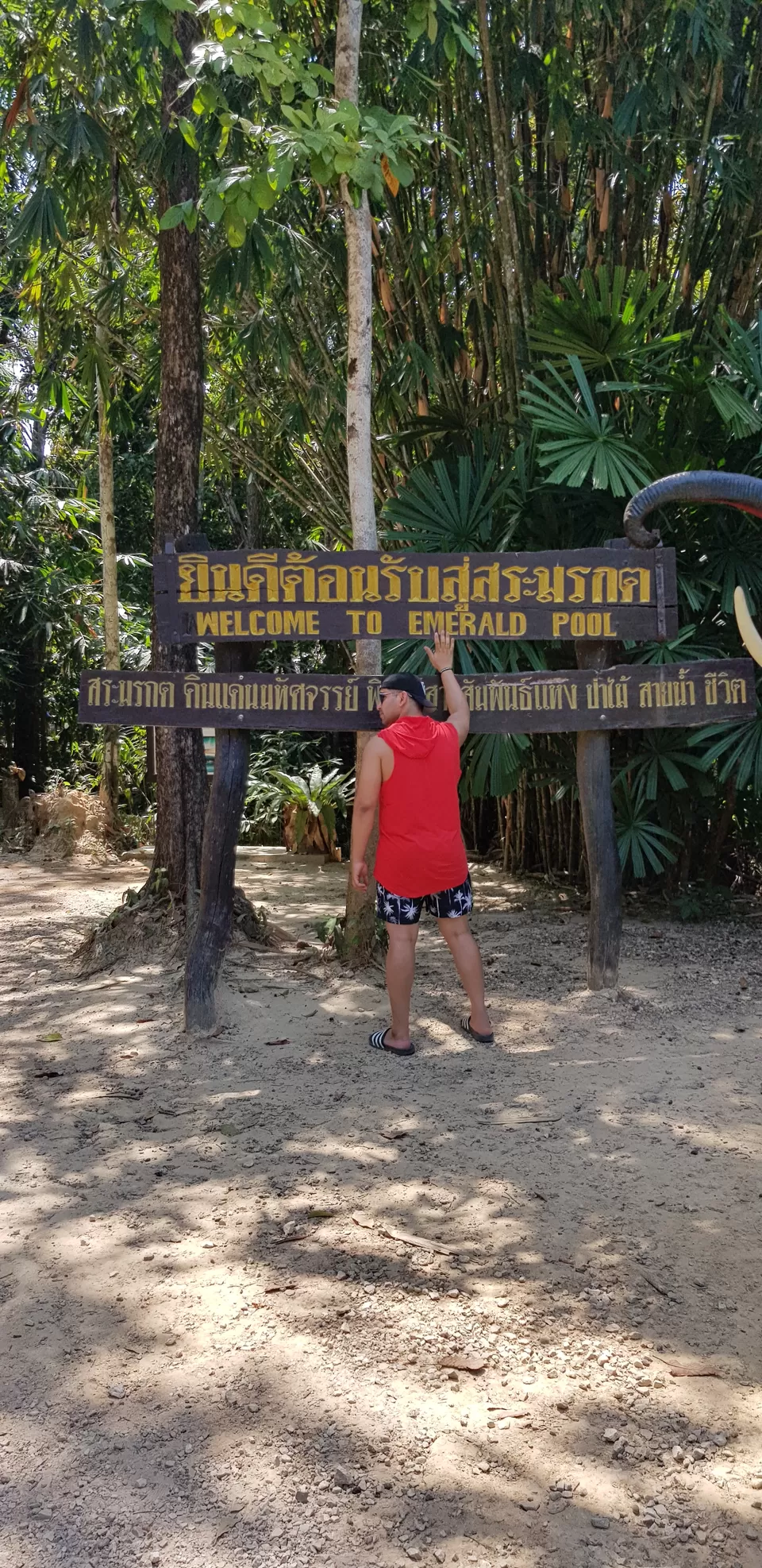 Photo of Emerald Pool, Khlong Thom Nuea, Khlong Thom District, Krabi, Thailand by Mischievous Dreamer