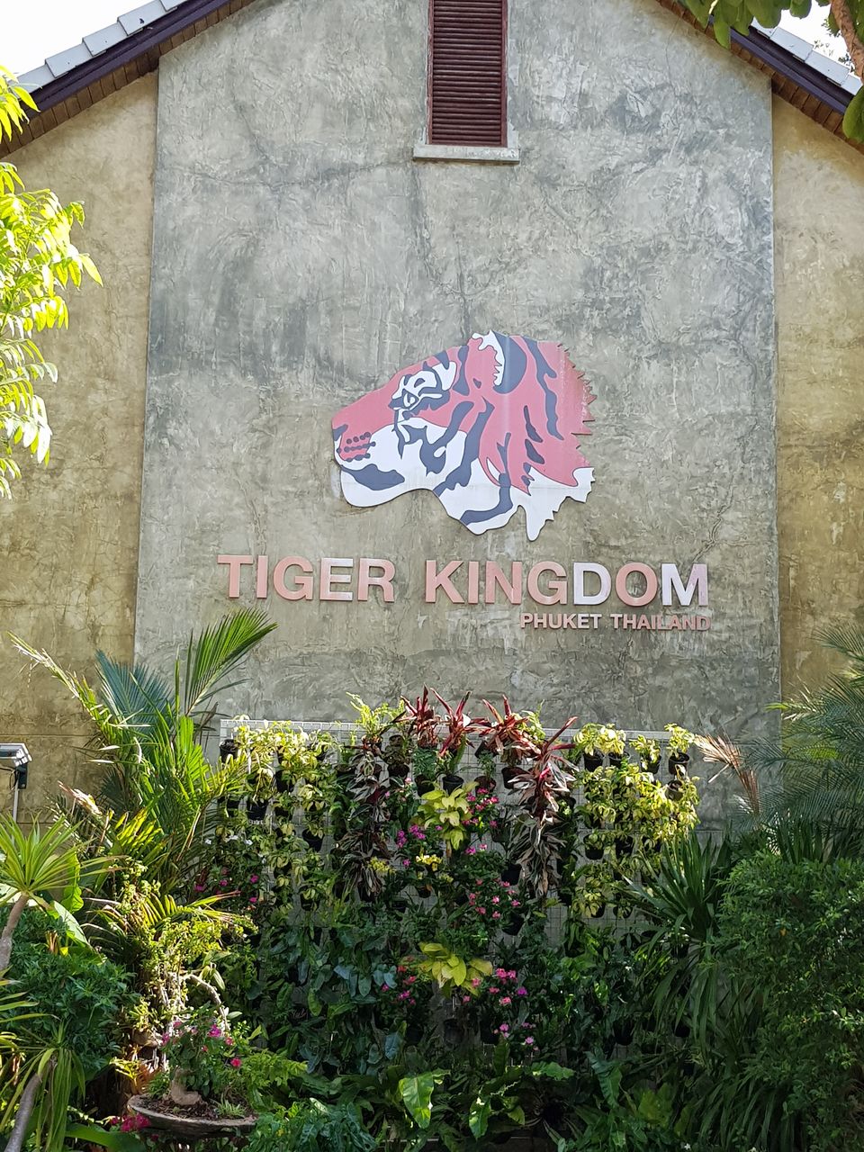 Photo of Tiger Kingdom Phuket, Kathu, Kathu District, Phuket, Thailand by Mischievous Dreamer