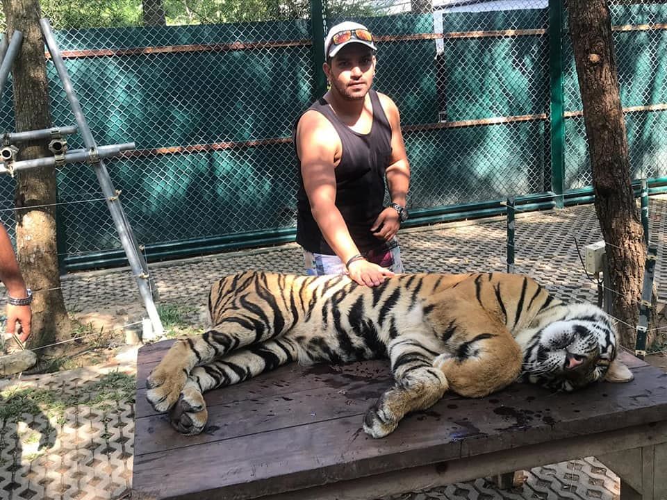 Photo of Tiger Kingdom Phuket, Kathu, Kathu District, Phuket, Thailand by Mischievous Dreamer