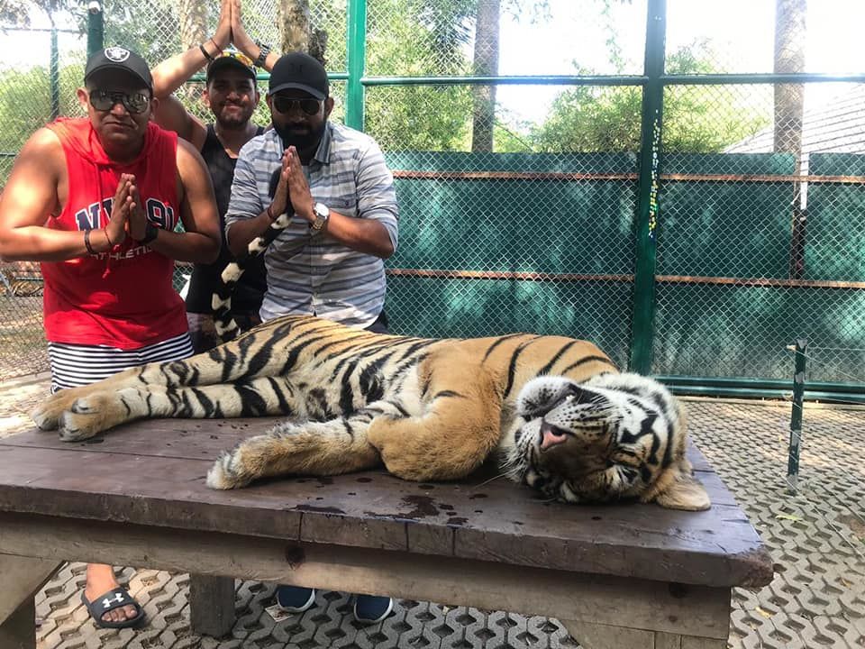 Photo of Tiger Kingdom Phuket, Kathu, Kathu District, Phuket, Thailand by Mischievous Dreamer