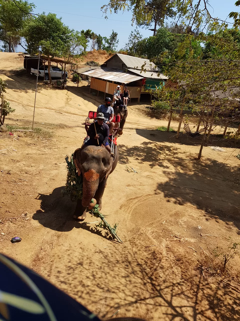 Photo of Thailand, Phuket, Mueang Phuket District, Rawai, Kinnaree Elephant Camp by Mischievous Dreamer