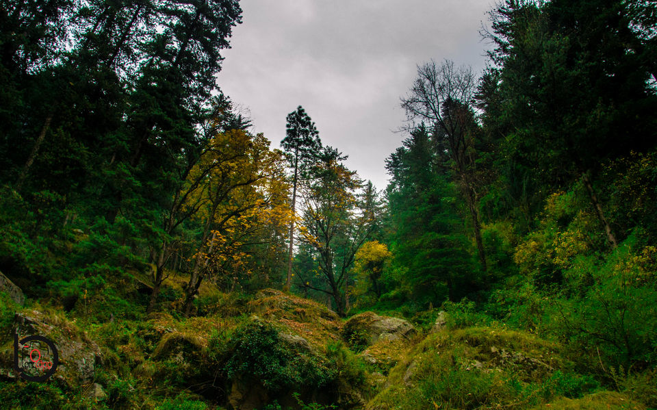 Photo of Kasol, Himachal Pradesh, India by BObo Shambo