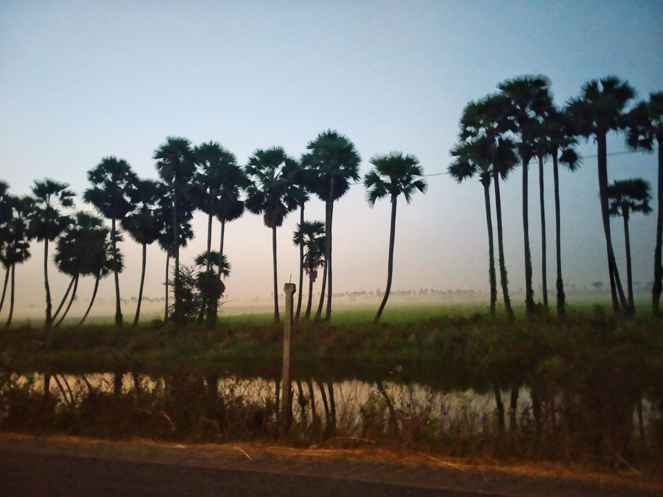 Photo of An unseen beauty of Bhimavaram - Road Trip #offbeatbhimavaram by Rohith mathi