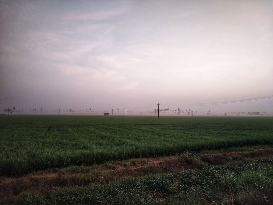 Photo of An unseen beauty of Bhimavaram - Road Trip #offbeatbhimavaram by Rohith mathi