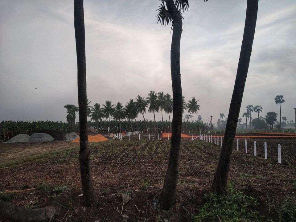 Photo of An unseen beauty of Bhimavaram - Road Trip #offbeatbhimavaram by Rohith mathi